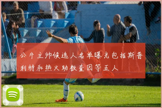公牛主帅候选人名单曝光包括斯普利特和热火助教奎因等五人