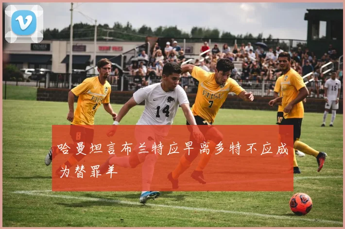 哈曼坦言布兰特应早离多特不应成为替罪羊