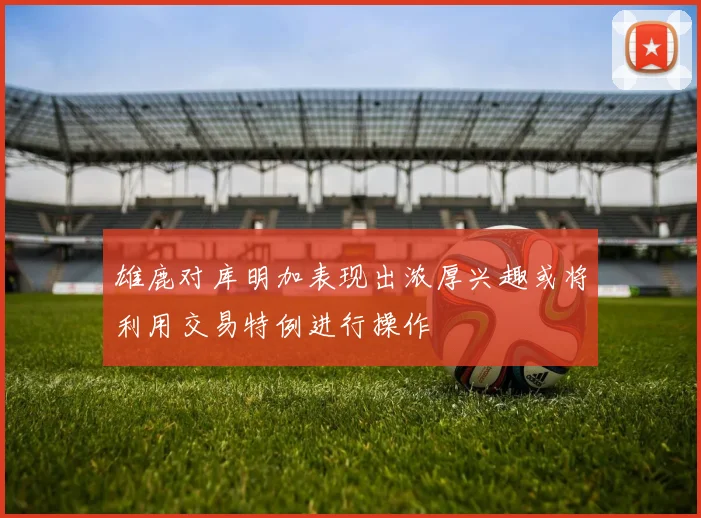 雄鹿对库明加表现出浓厚兴趣或将利用交易特例进行操作